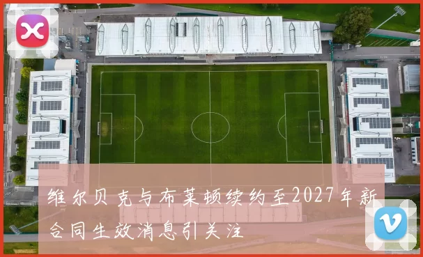 维尔贝克与布莱顿续约至2027年新合同生效消息引关注