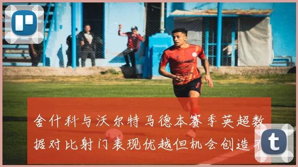 舍什科与沃尔特马德本赛季英超数据对比射门表现优越但机会创造不足